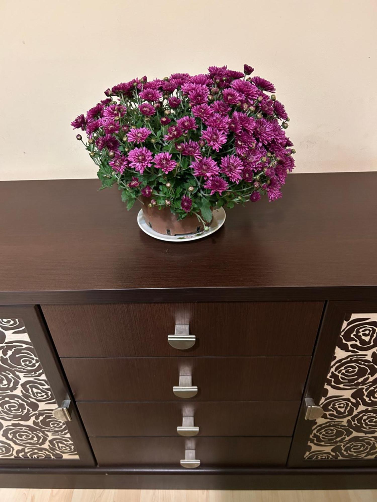 Three Bedroom Stepana Bandery Street Rivne Bagian luar foto